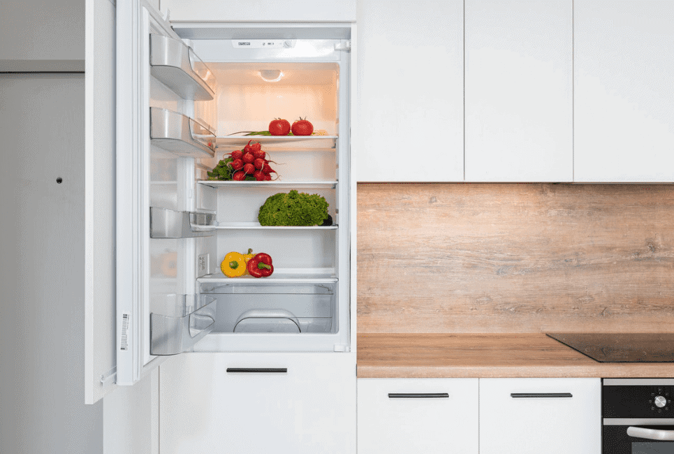 Electrolux Refrigerator Model Guide