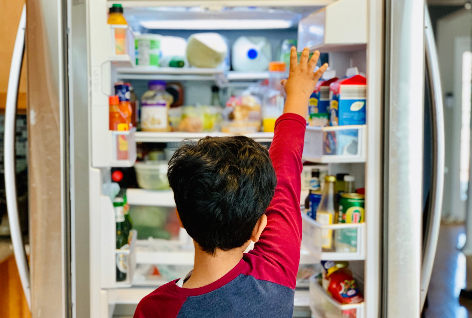 Thermador Refrigerator